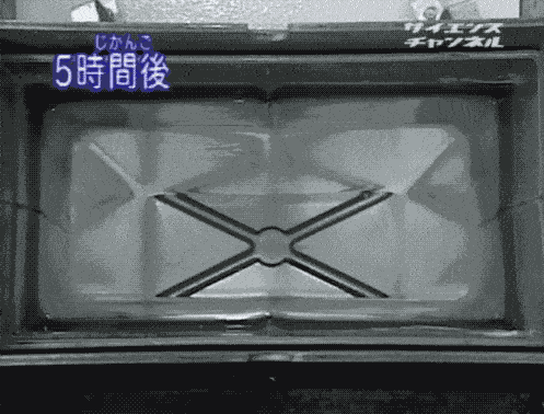 威士忌里的冰塊，是怎樣做出來的？ | 有趣的制造(9)