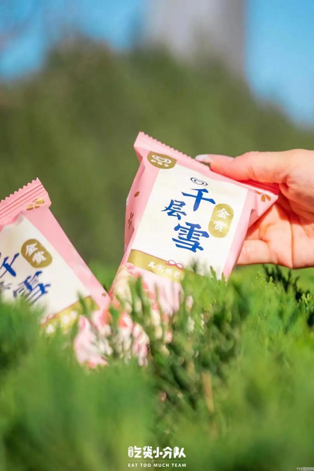 春天第一支冰淇淋，你吃的啥？(7)