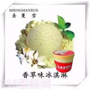 圣蔓雪餐飲桶裝雪糕香草味冰淇