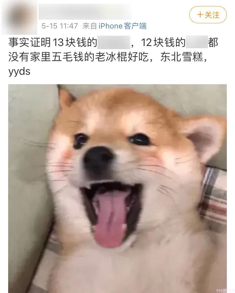 網紅雪糕越貴越難吃，為什么現在雪糕這么貴(6)